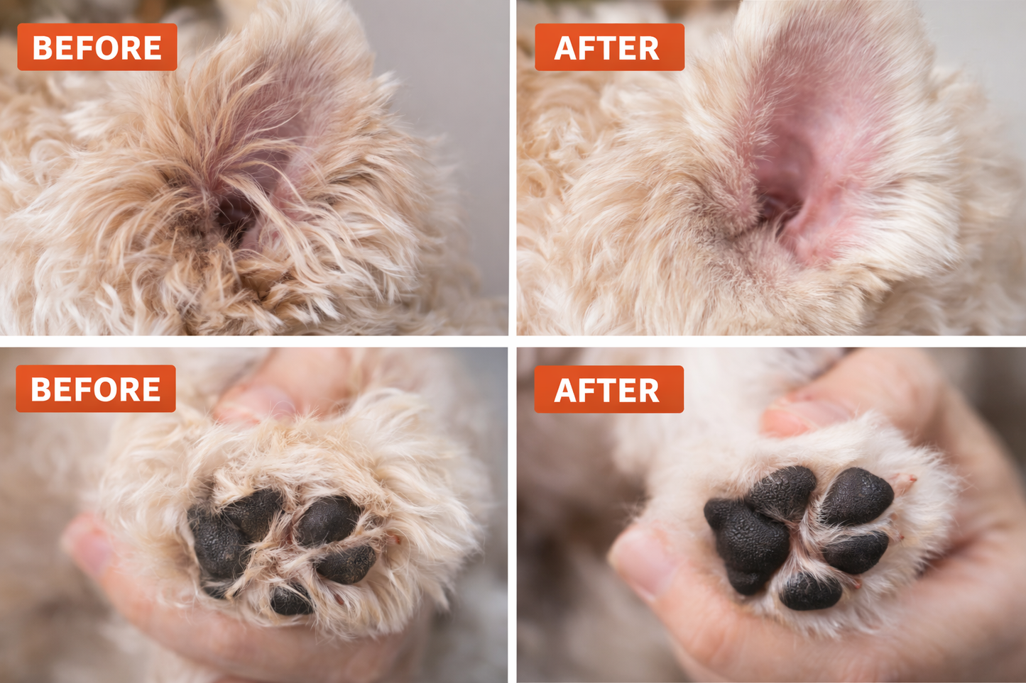 Quiet LED Pet Paw Trimmer – Safe, Stress-Free Grooming at Home