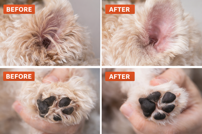 Quiet LED Pet Paw Trimmer – Safe, Stress-Free Grooming at Home